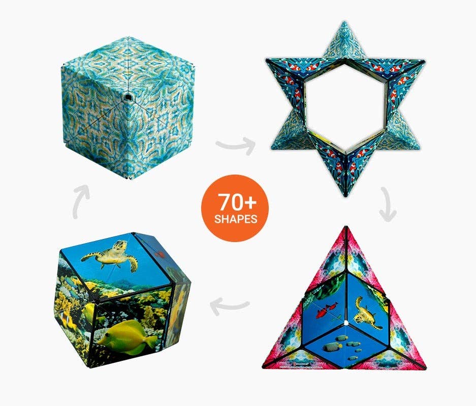 Shashibo Undersea Magnetic Puzzle Cube STEM STEAM MESH