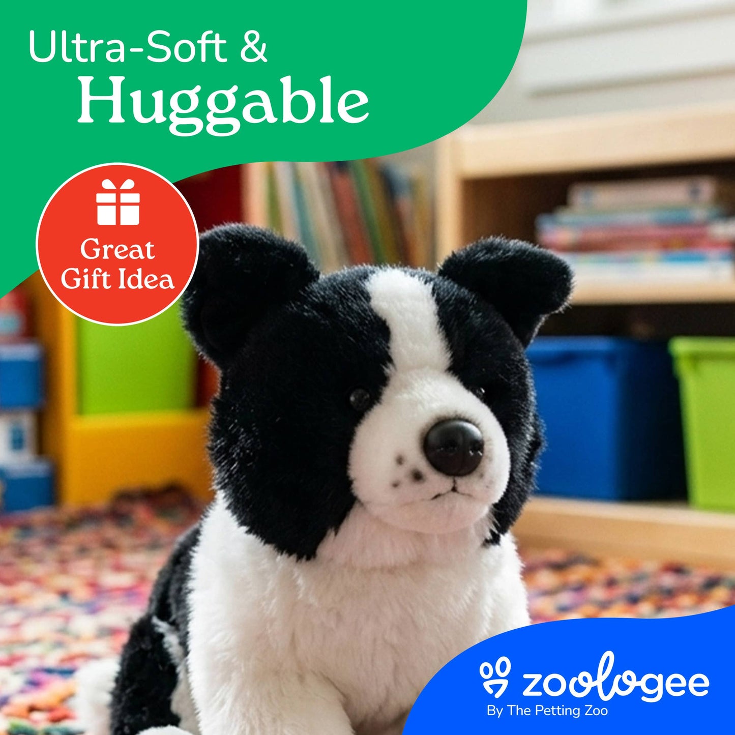 Border Collie Puppy Dog