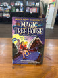 Magic TreeHouse Graphic: Knight at Dawn (HB)