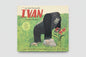 Ivan: A Gorilla's True Story by: Katherine Applegate (Picture Book)