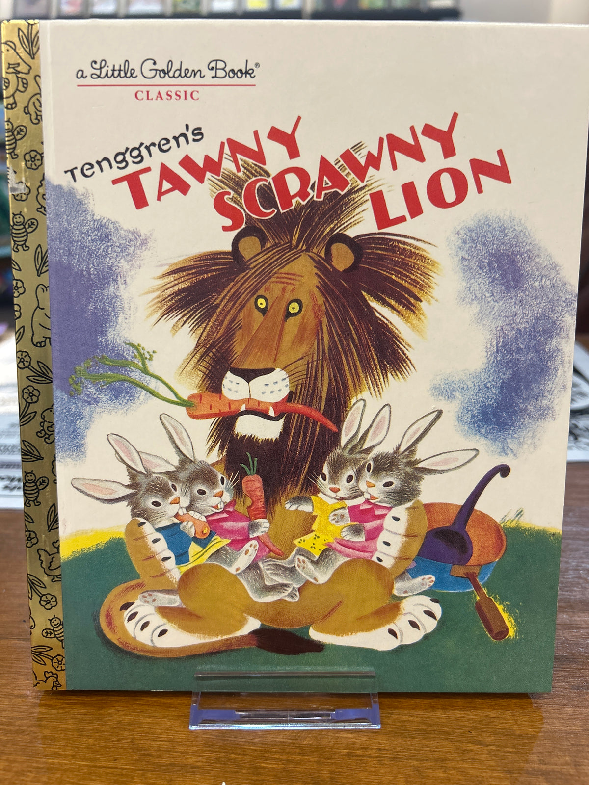 Tawny Scrawny Lion