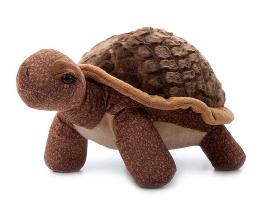 14" Wild Onez Tortoise