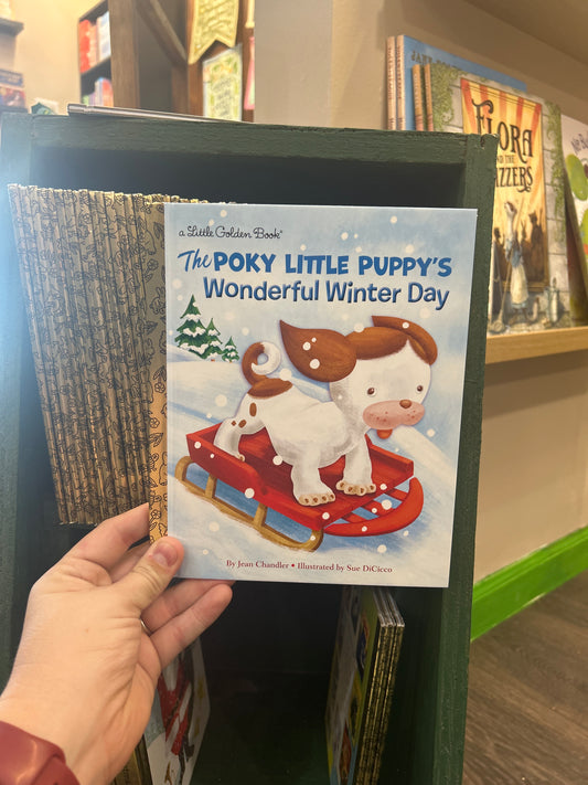 The Poky Little Puppy's Wonderful Winter Day