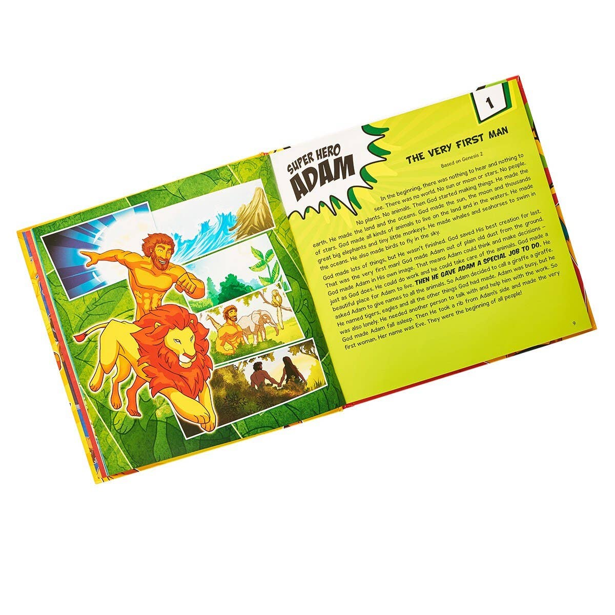 Bible Super Heroes Storybook Hardcover