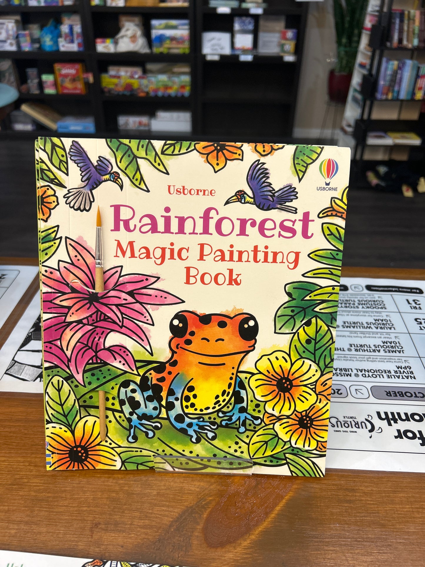 Rainforest Magic Painting Book