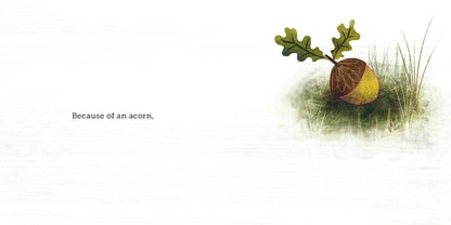 Because of an Acorn by: Lola M. Schaefer