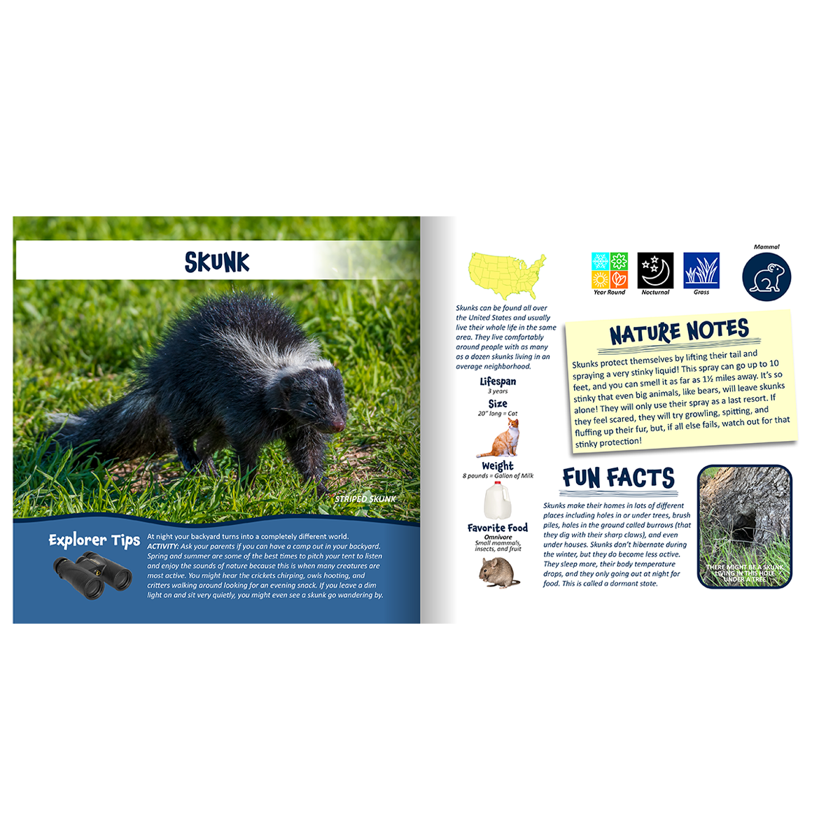 Nature Explorer Discovery Kit, Backyard Critters & Creatures