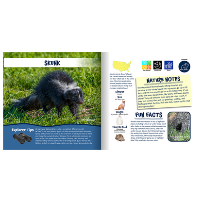Nature Explorer Discovery Kit, Backyard Critters & Creatures