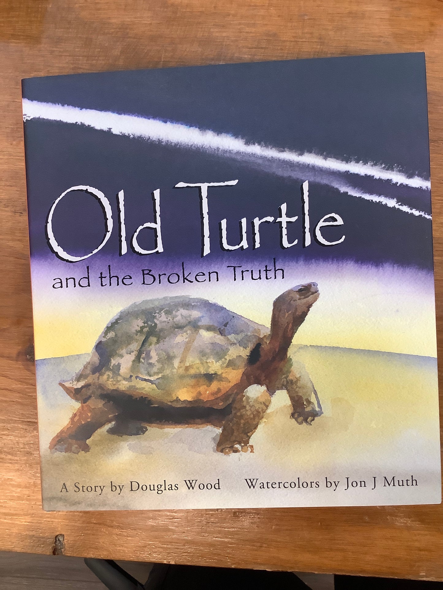 OLD TURTLE AND THE BROKEN TRUTH (HB)