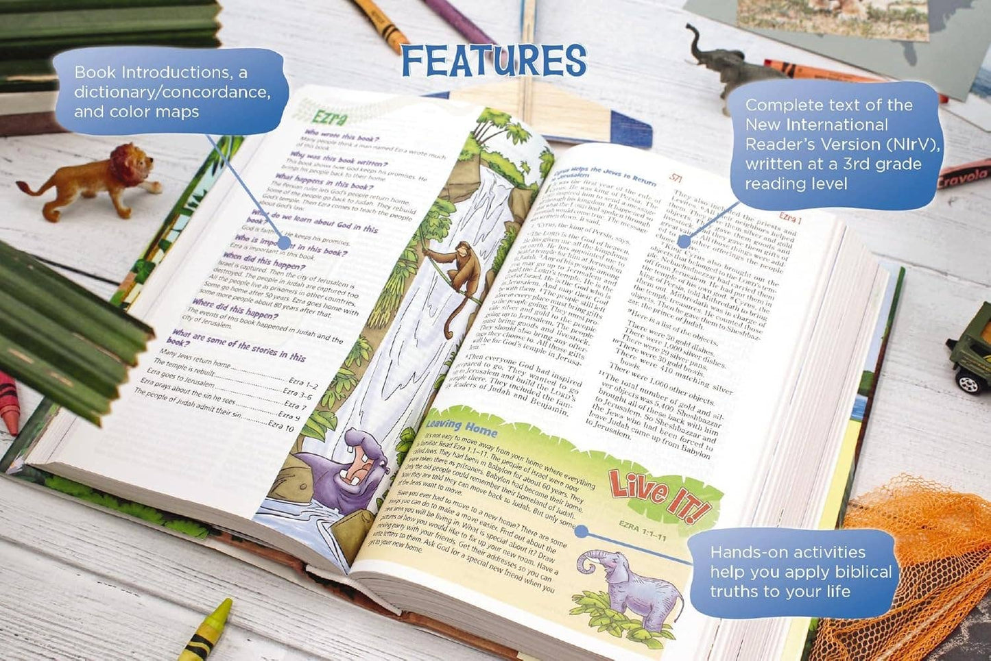 NIrV Adventure Bible for Early Readers Magnetic Closure