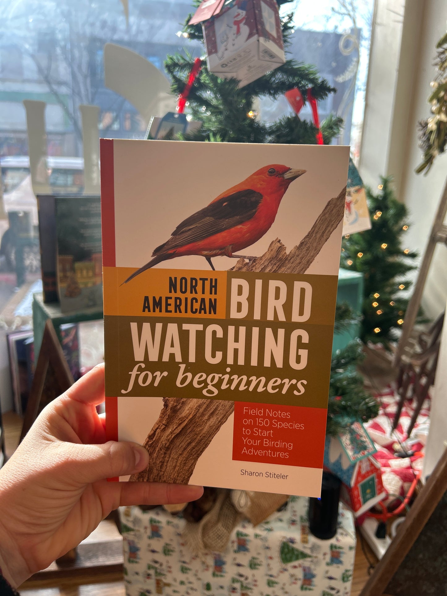 North American Bird Watching for Beginners