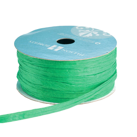 Lime Ribbon - Paper Raffia