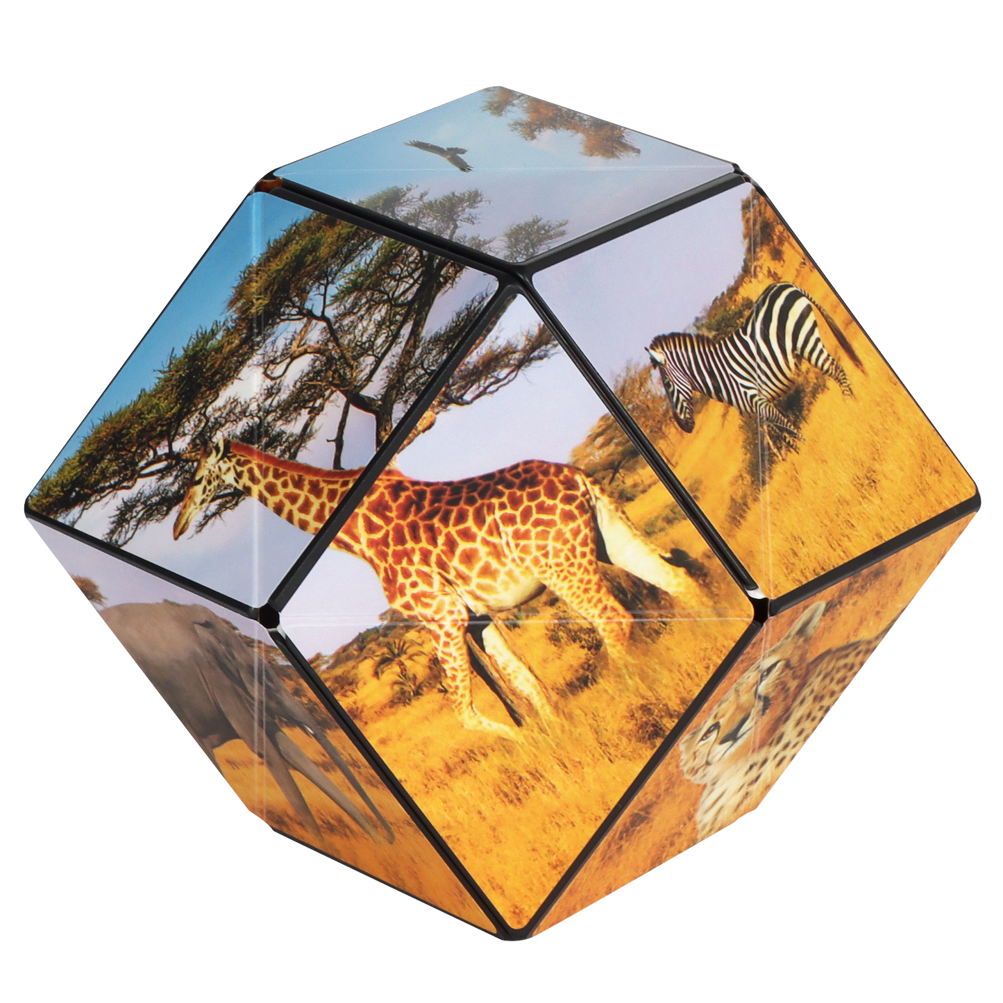 Shashibo Savanna Magnetic Puzzle Cube STEM STEAM MESH
