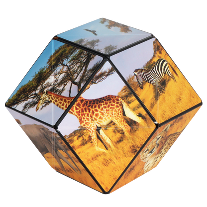 Shashibo Savanna Magnetic Puzzle Cube STEM STEAM MESH