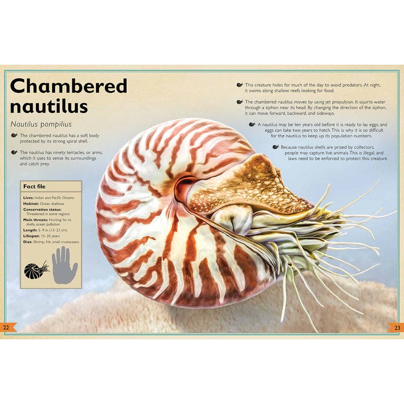 The Magnificent Book of Endangered Animals