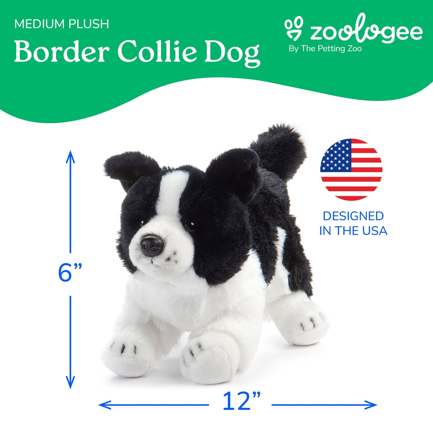 Border Collie Puppy Dog