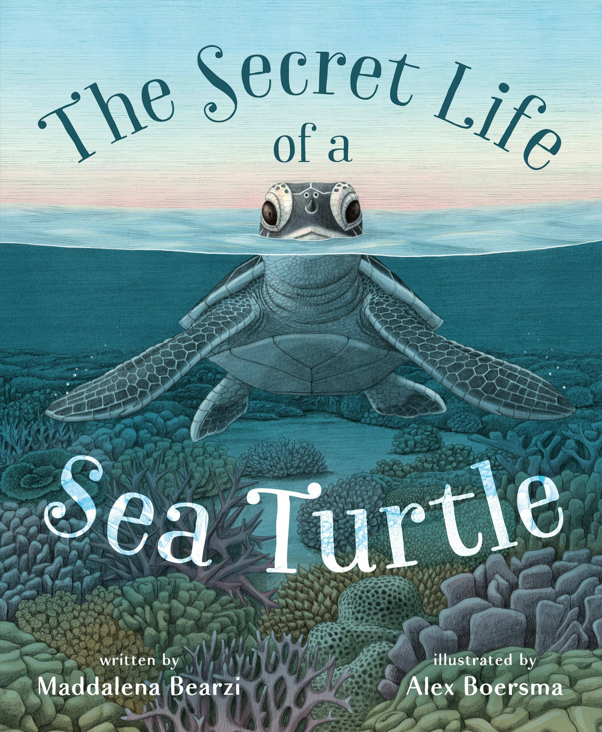 Secret Life Of A Sea Turtle: