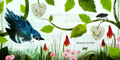Because of an Acorn by: Lola M. Schaefer