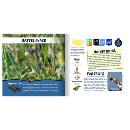Nature Explorer Discovery Kit, Backyard Critters & Creatures