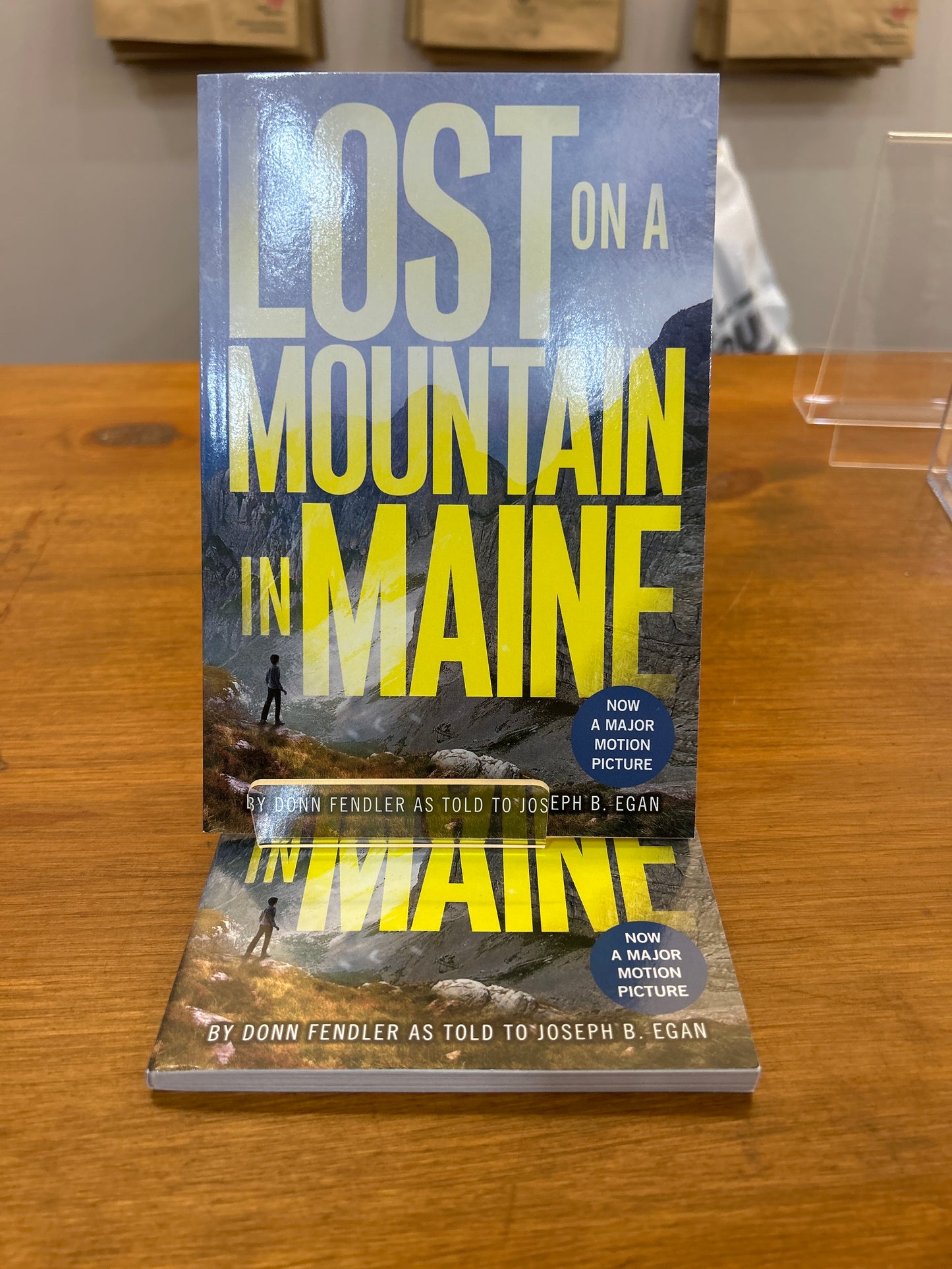Lost on a Mountain in Maine by: Donn Fendler