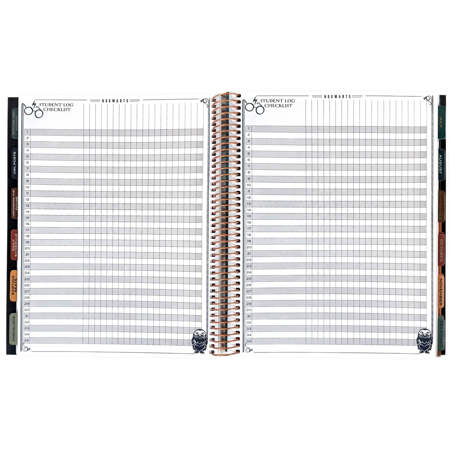 Harry Potter 2026-2027 Hogwarts Weekly Dated Teacher Planner (July - June) [SOLD OUT]