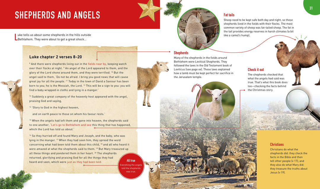 All About Christmas