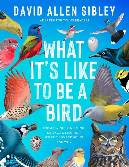What It's Like to Be a Bird (Adapted for Young Readers): From Flying to Nesting, Eating to Singing--What Birds Are Doing and Why cover image