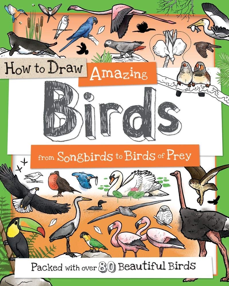 How to Draw Amazing Birds: A Drawing Book for Kids Packed With 80+ Birds (How to Draw Series) cover image