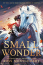 Small Wonder cover image