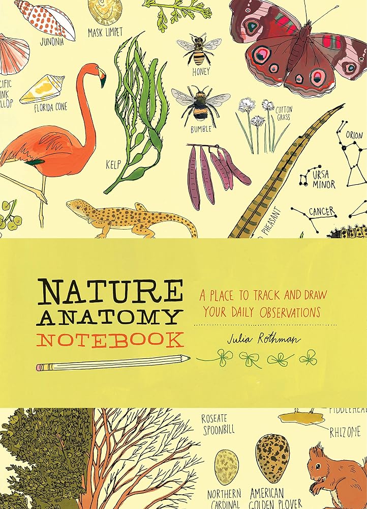 Nature Anatomy Notebook: A Place to Track and Draw Your Daily Observations cover image