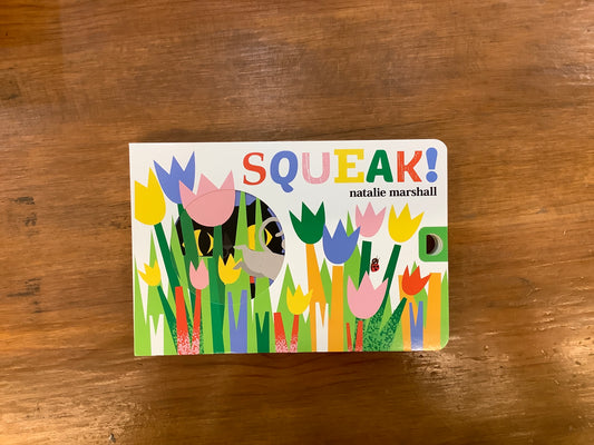 Squeak! (BOARD BOOK)