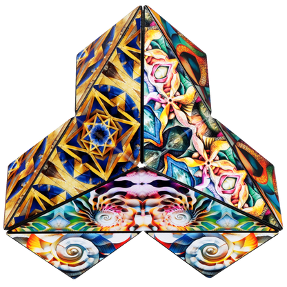 Shashibo Squared Atlantis Magnetic Puzzle Cube STEAM MESH