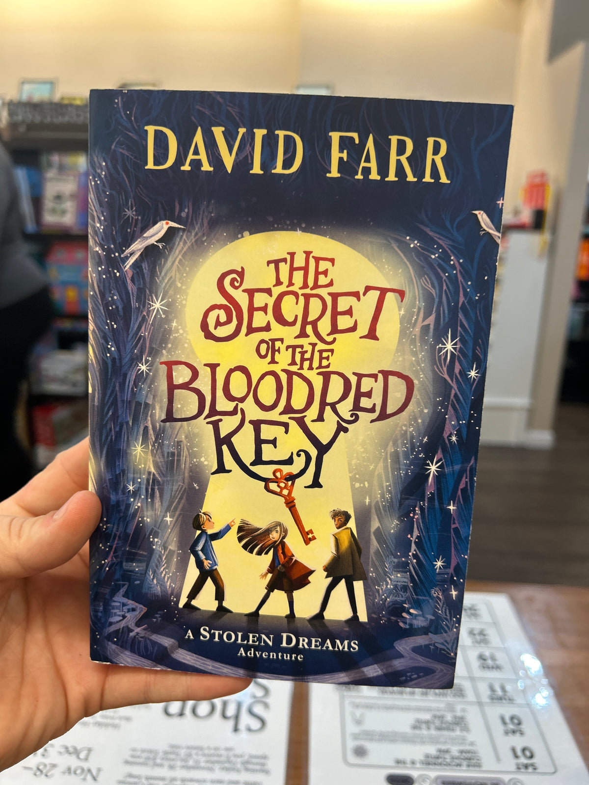 The Secret of the Bloodred Key by: David Farr (Book 2)