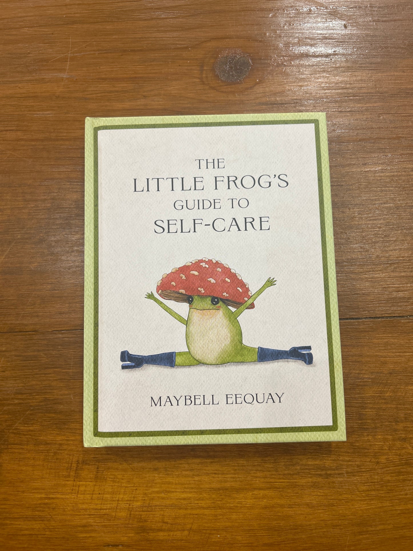 The Little Frog's Guide to Self-Care (HB)