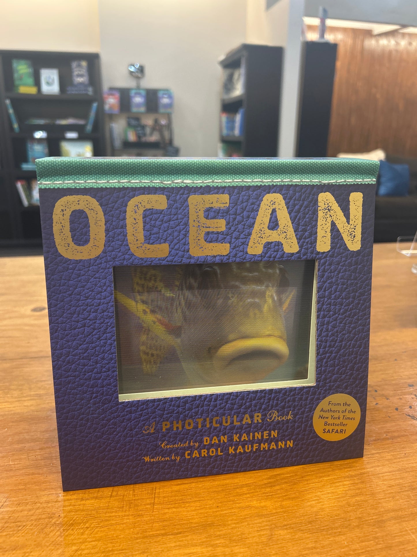 Ocean By Dan Kainen (Creator), Carol Kaufmann (Author)