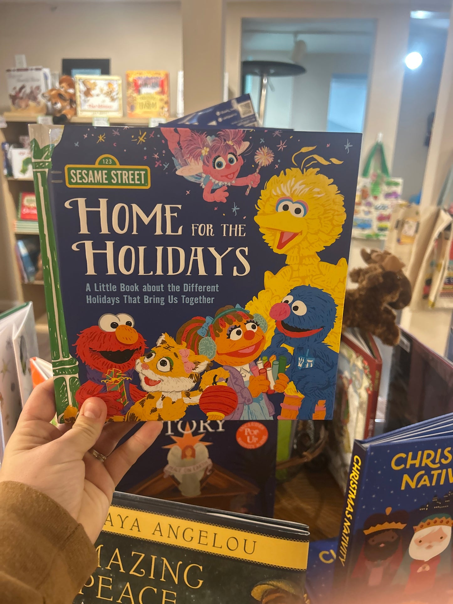 Home for the Holidays