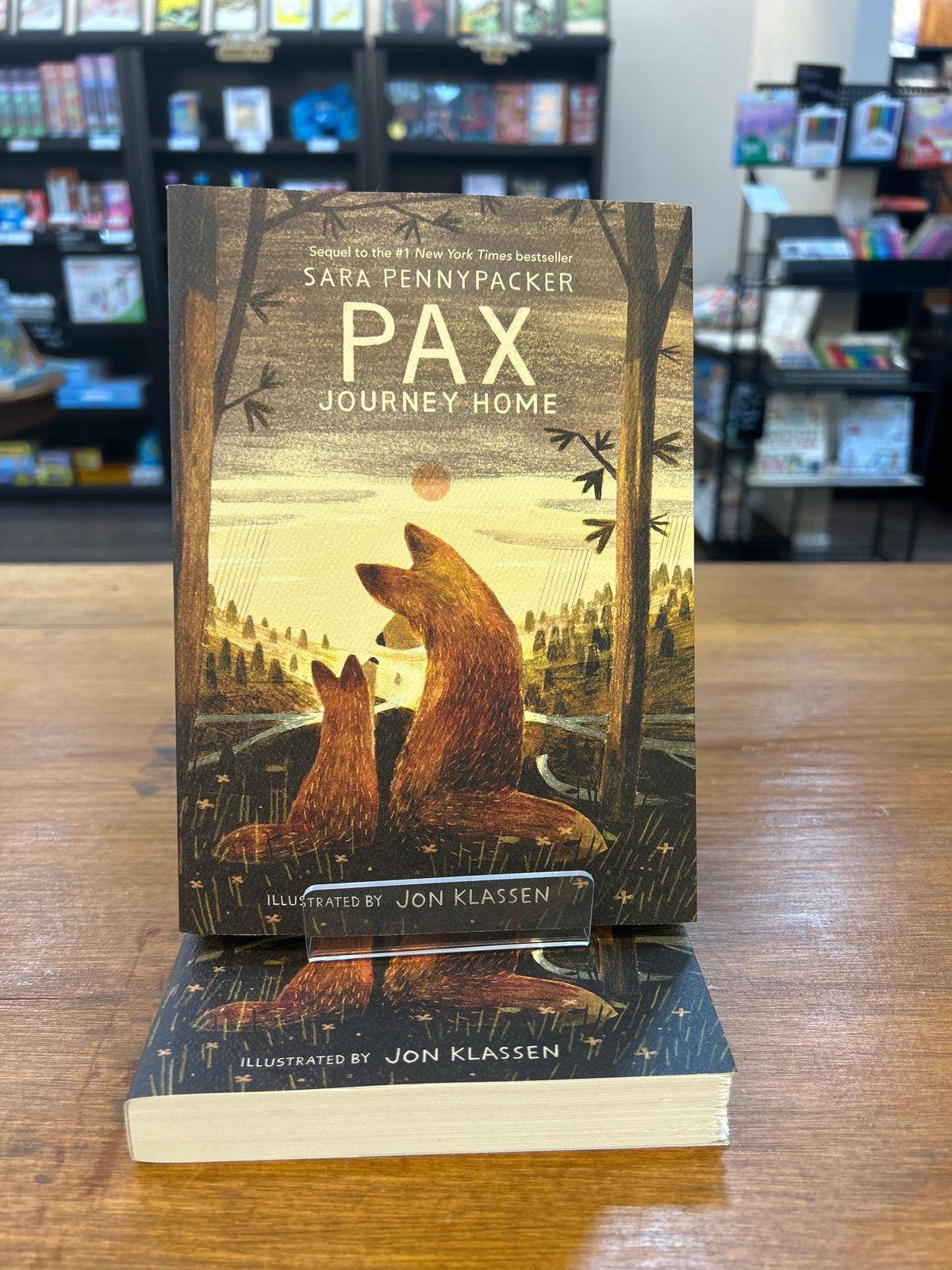 Pax: Journey Home