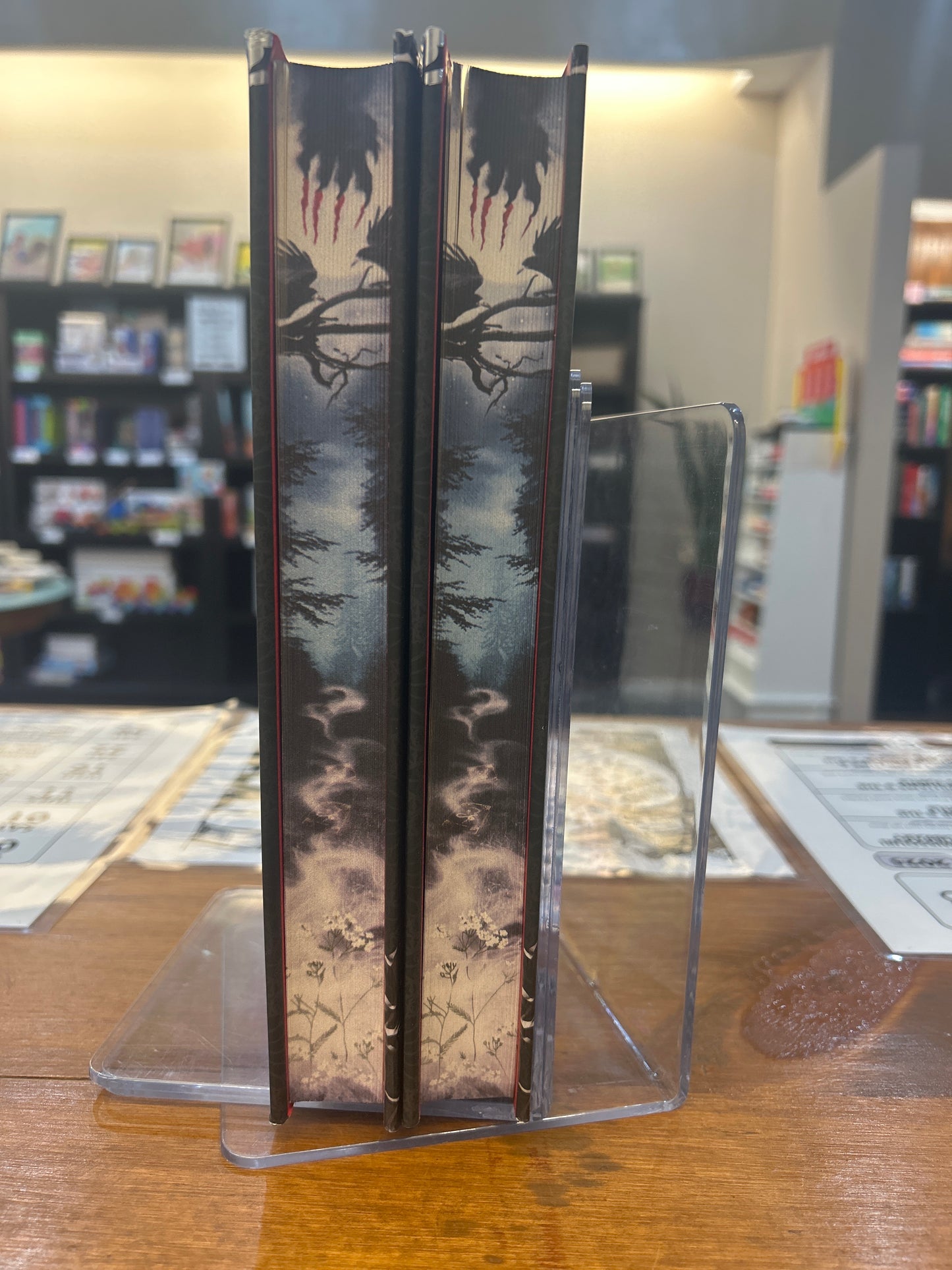 One Dark Window by: Rachel Gillig - Sprayed Edge