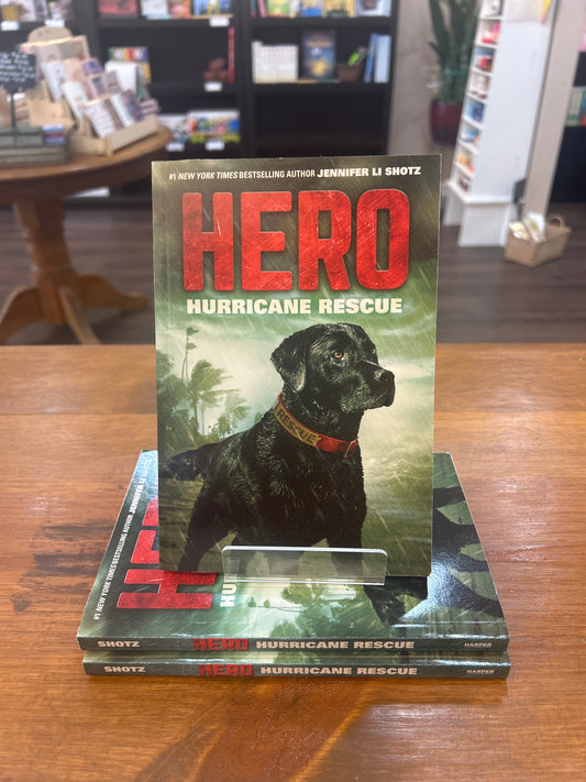 Hero: Hurricane Rescue