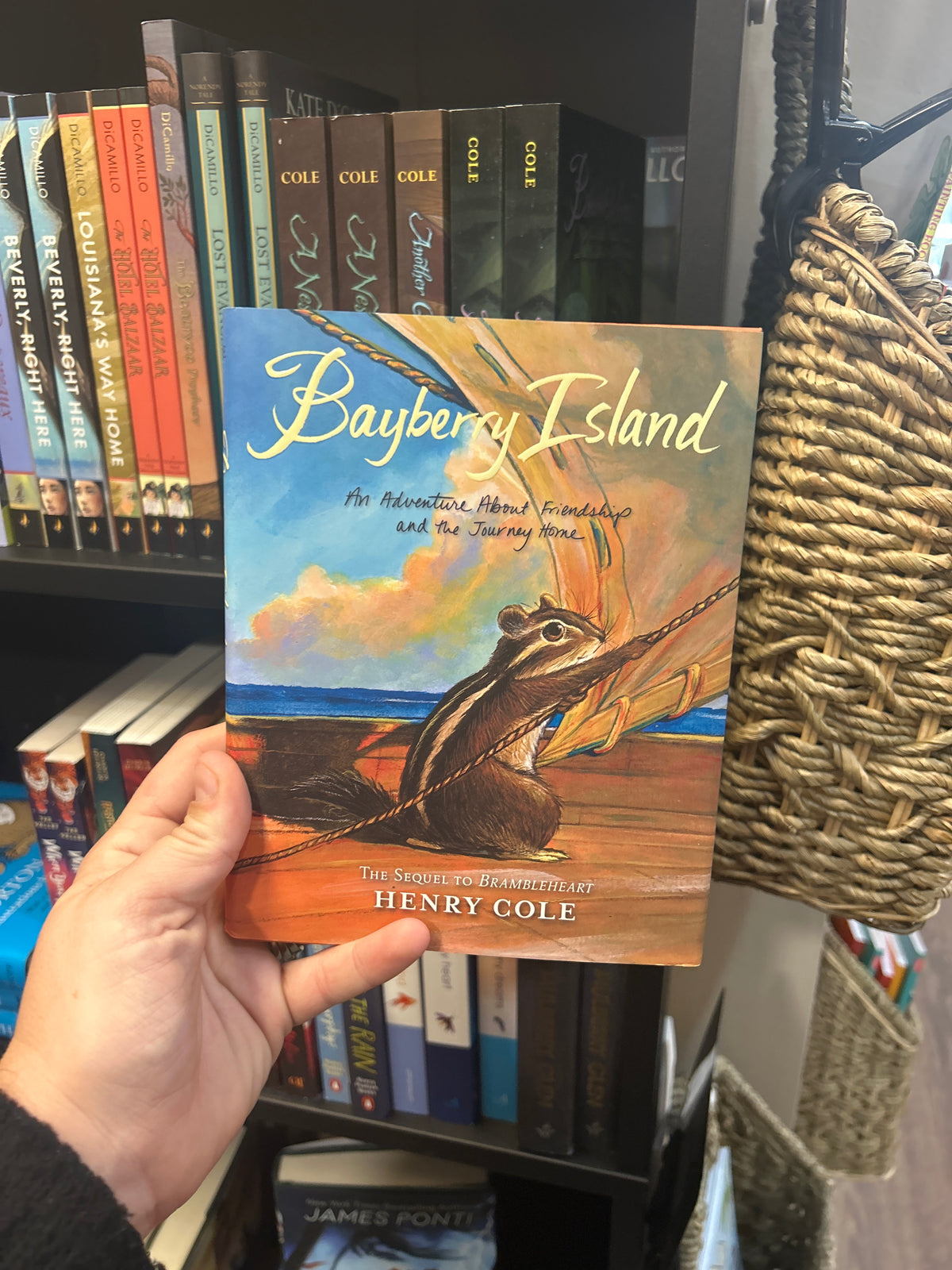 Bayberry Island by: Henry Cole