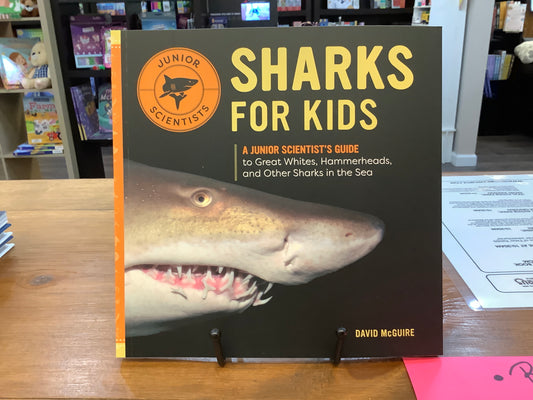 Sharks for Kids by David McGuire