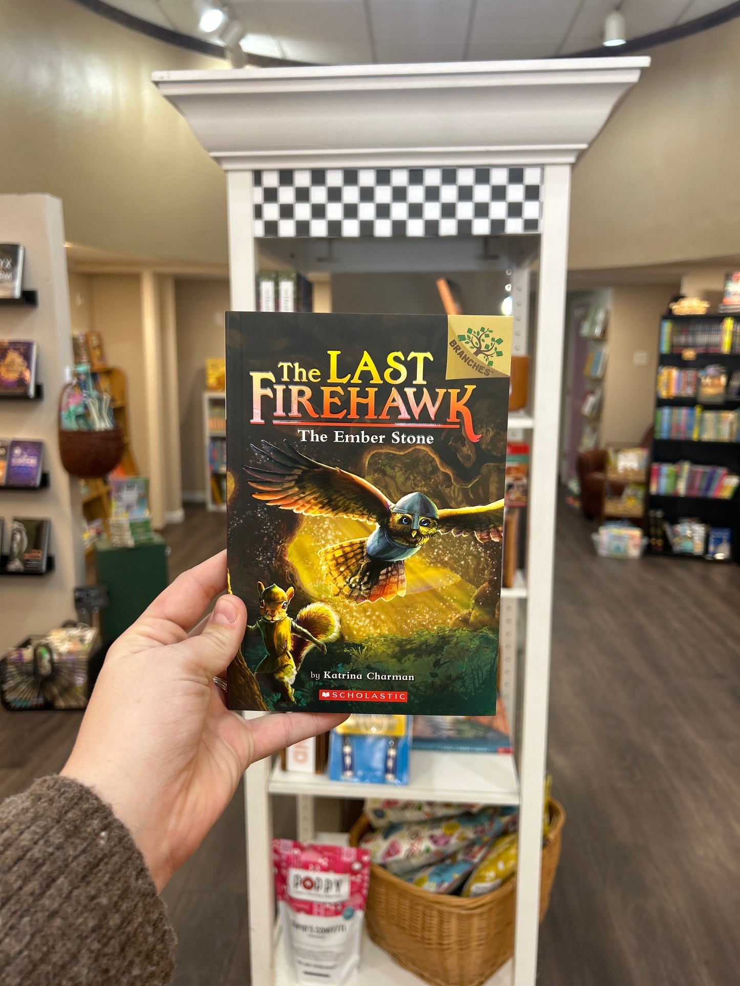LAST FIREHAWK, THE #1: THE EMBER STONE