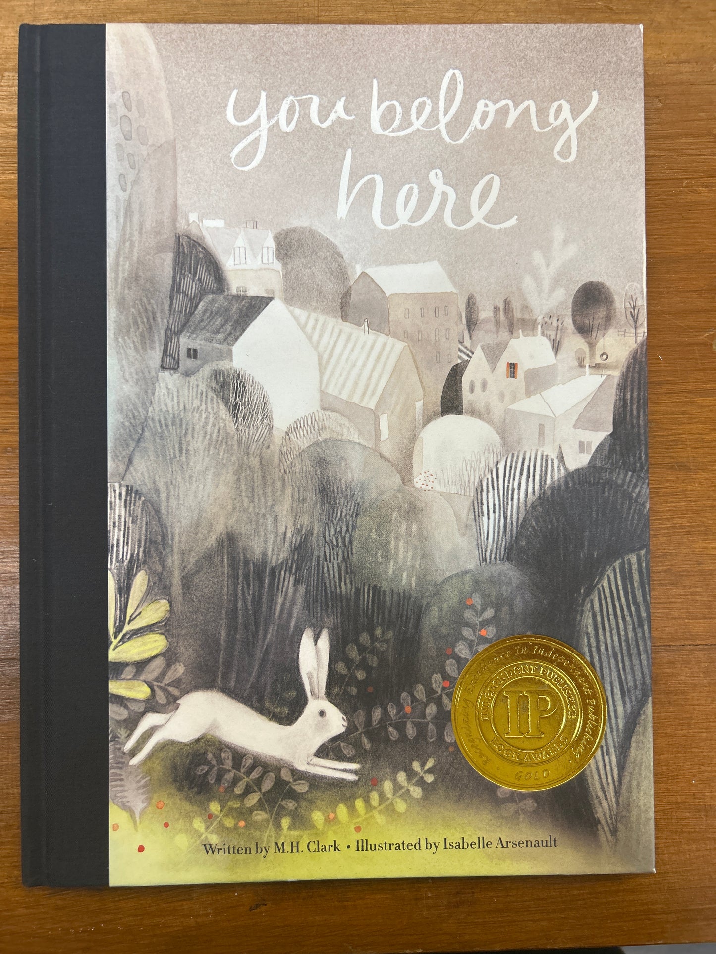 Book - You Belong Here