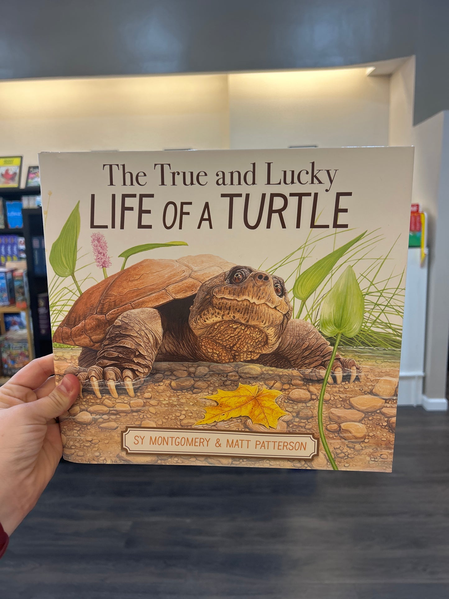 The True and Lucky Life of a Turtle by: Sy Montgomery & Matt Patterson