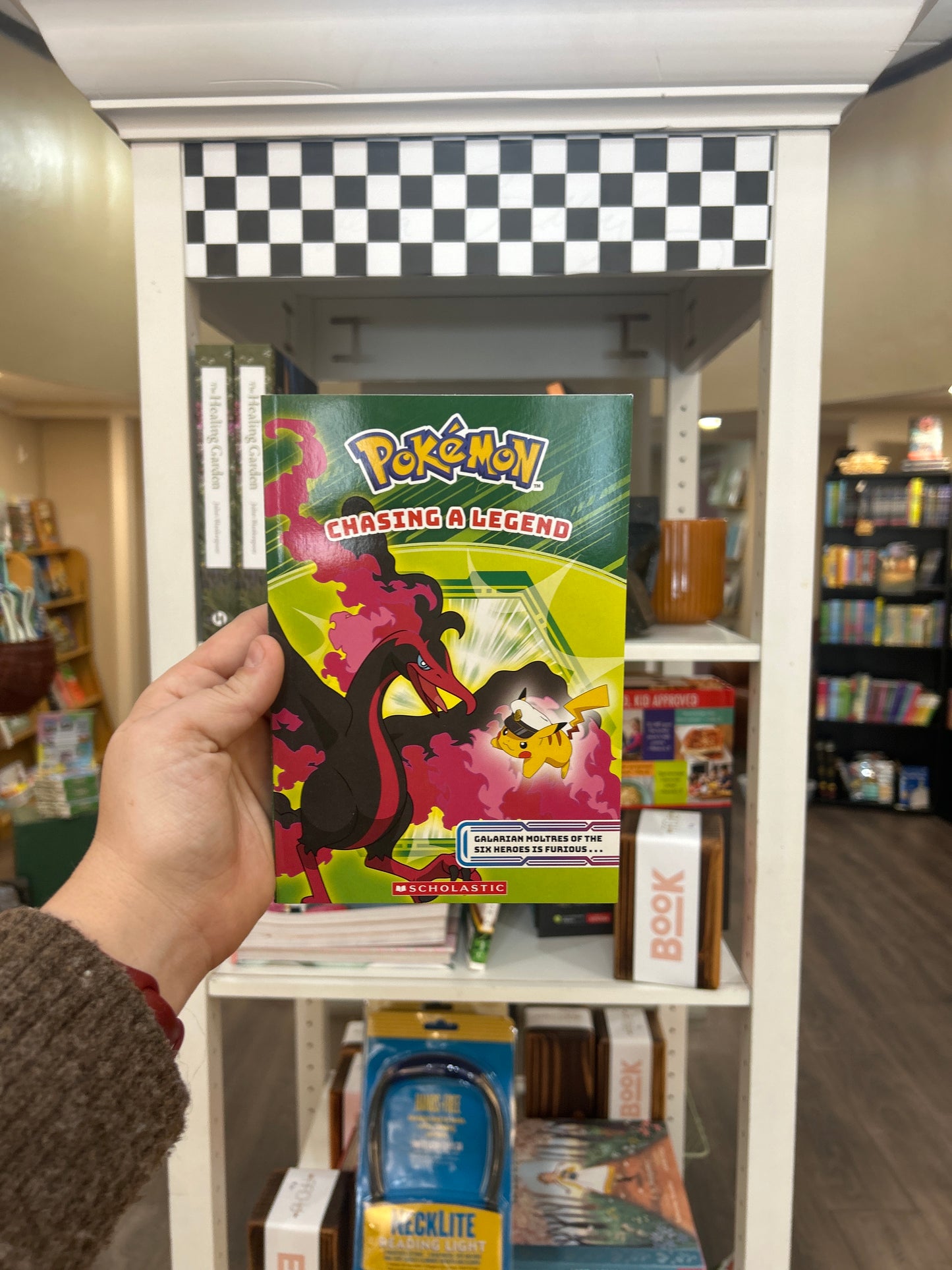 POKEMON: CHASING A LEGEND (HORIZONS CHAPTER BOOK #