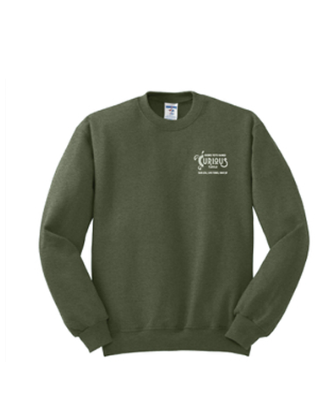 Curious Turtle Embroidered Adult Sweatshirt