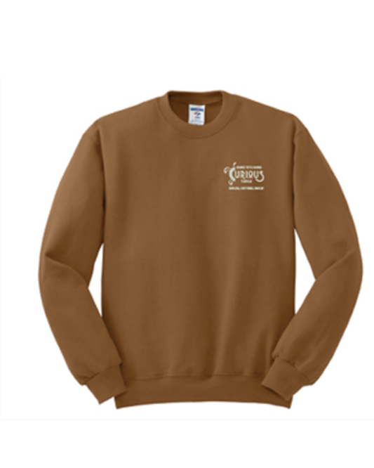 Curious Turtle Embroidered Adult Sweatshirt