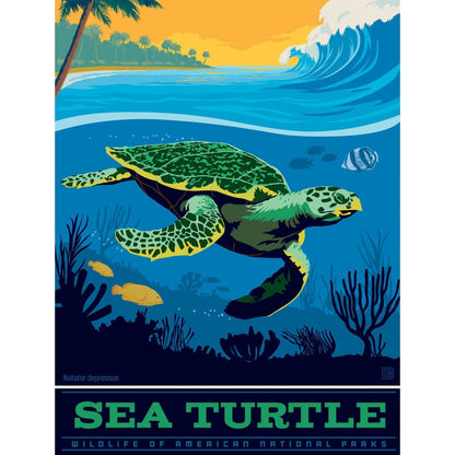 Sea Turtle 300 Piece Jigsaw Puzzle