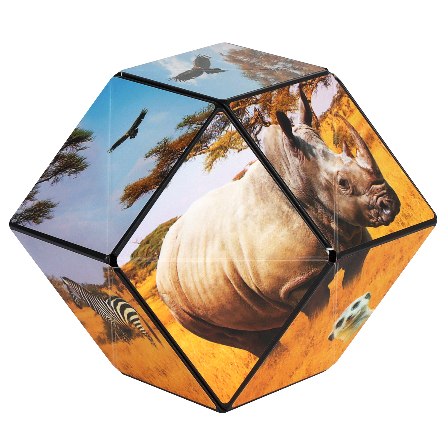Shashibo Savanna Magnetic Puzzle Cube STEM STEAM MESH