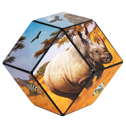 Shashibo Savanna Magnetic Puzzle Cube STEM STEAM MESH